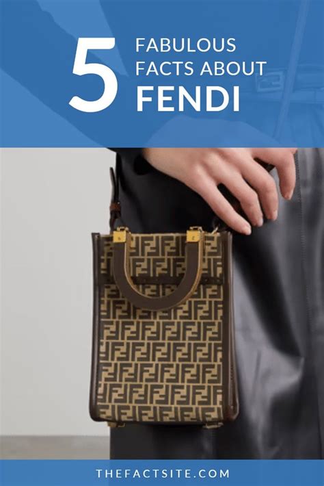 fe fendi biography|facts about fendi.